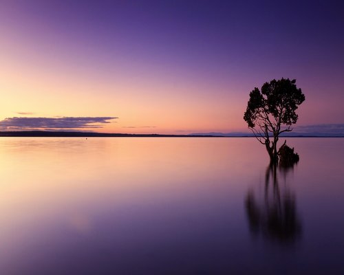 peaceful sunset landscape to represent calm